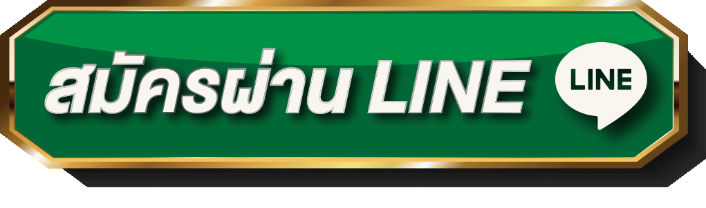 แบนเนอร์ทางเข้า SPEZ666